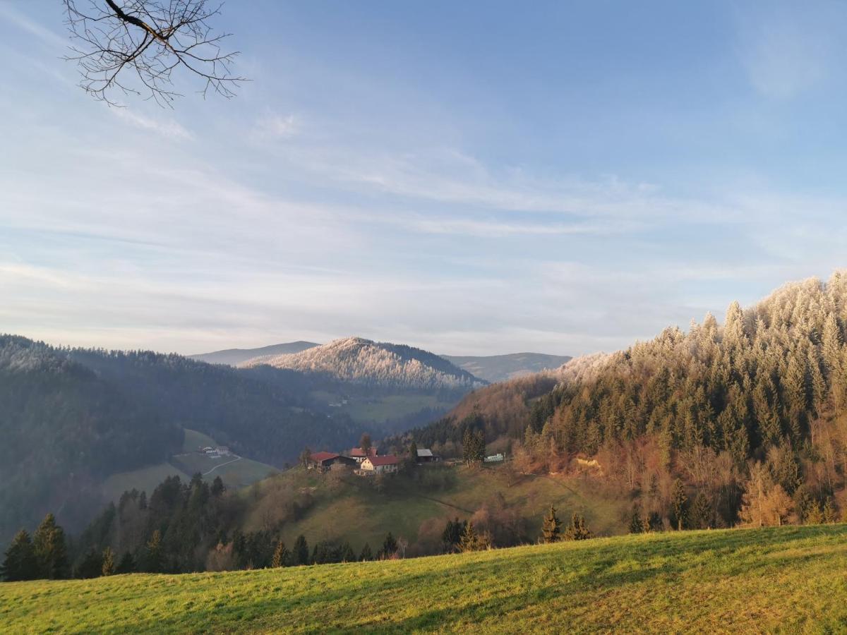 Villa Richterberg With Sauna & Hot Tub Словень-Градец Экстерьер фото
