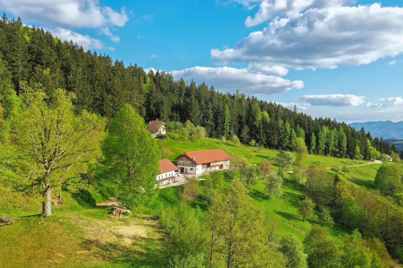 Villa Richterberg With Sauna & Hot Tub Словень-Градец Экстерьер фото